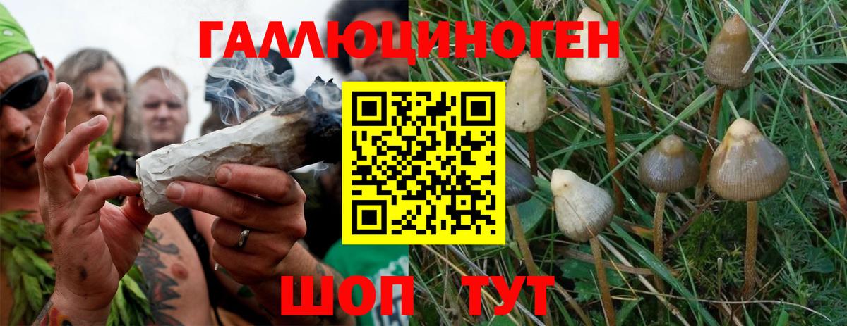 Крымск  Галлюциногенные грибы MAGIC MUSHROOMS  Псилоцибиновые грибы Psilocybe  Вход с VPN 